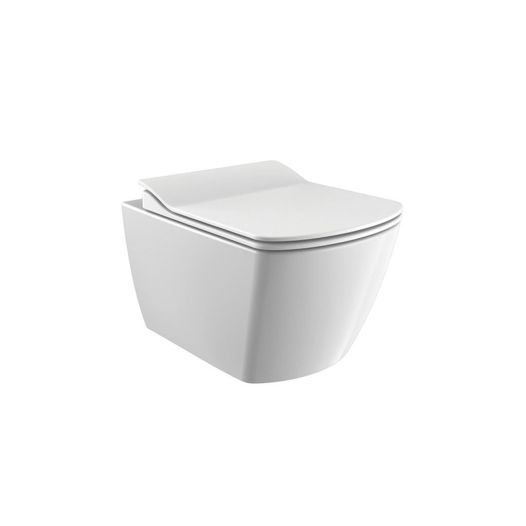 Creavit Elegant Rimless Wall Hung Combined Bidet Toilet